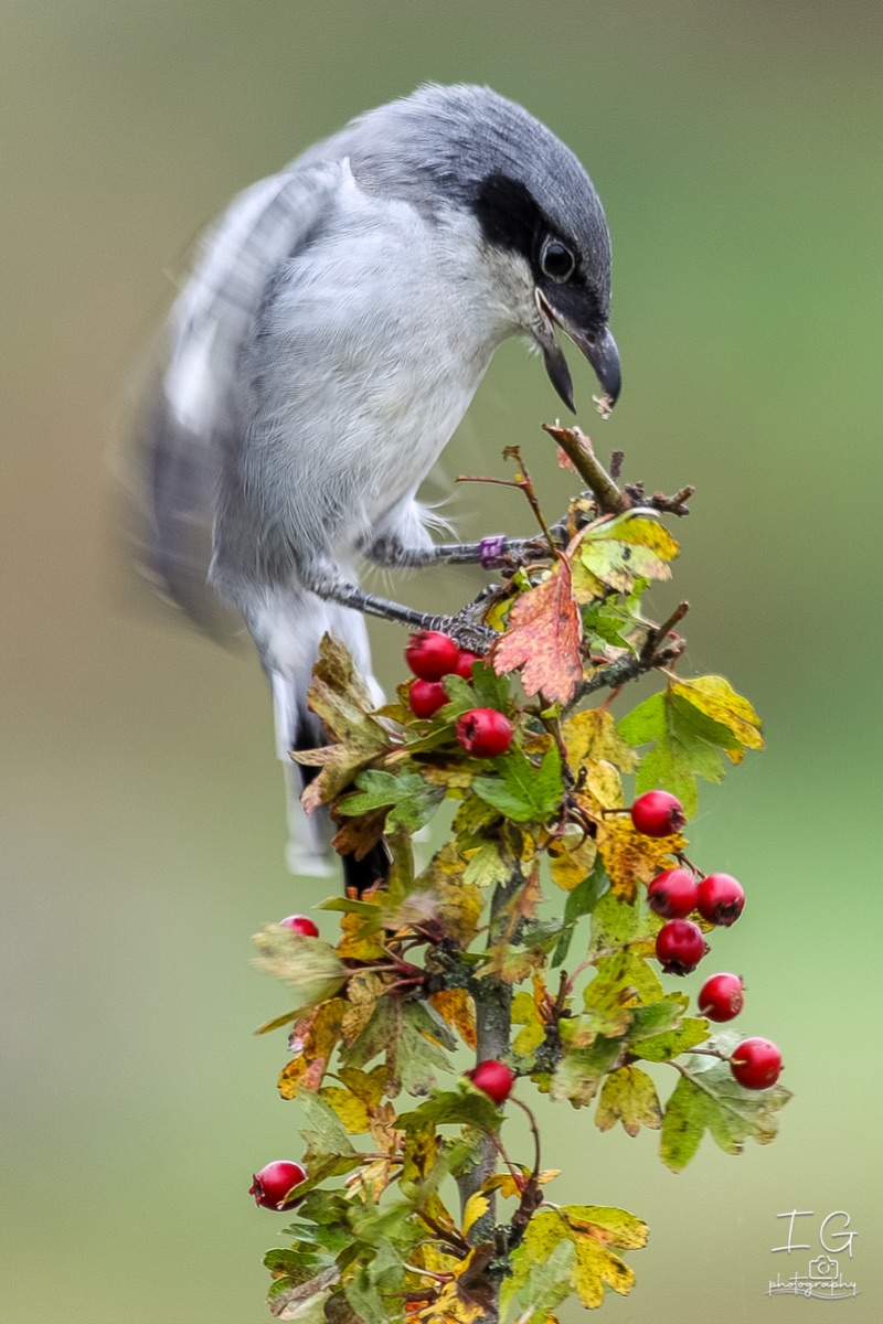 20211023 AK6I0335 insta